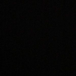 Meet your Posher, Mazie